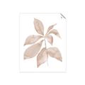 Picture of Neutral Watercolour Botanical I _GroupedProduct_Rectangle_Portrait_Unframed_Print_Only_