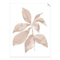 Picture of Neutral Watercolour Botanical I _GroupedProduct_Rectangle_Portrait_Unframed_Print_Only_