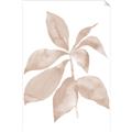 Picture of Neutral Watercolour Botanical I _GroupedProduct_Rectangle_Portrait_Unframed_Print_Only_