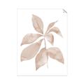 Picture of Neutral Watercolour Botanical I _GroupedProduct_Rectangle_Portrait_Unframed_Print_Only_