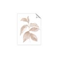 Picture of Neutral Watercolour Botanical II _GroupedProduct_Rectangle_Portrait_Unframed_Print_Only_