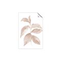 Picture of Neutral Watercolour Botanical II _GroupedProduct_Rectangle_Portrait_Unframed_Print_Only_
