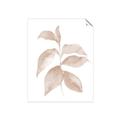 Picture of Neutral Watercolour Botanical II _GroupedProduct_Rectangle_Portrait_Unframed_Print_Only_