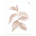 Picture of Neutral Watercolour Botanical II _GroupedProduct_Rectangle_Portrait_Unframed_Print_Only_