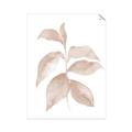 Picture of Neutral Watercolour Botanical II _GroupedProduct_Rectangle_Portrait_Unframed_Print_Only_