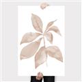 Picture of Neutral Watercolour Botanical I _GroupedProduct_Rectangle_Portrait_Canvas_