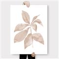 Picture of Neutral Watercolour Botanical I _GroupedProduct_Rectangle_Portrait_Canvas_
