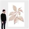 Picture of Neutral Watercolour Botanical I _GroupedProduct_Rectangle_Portrait_Canvas_