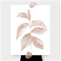 Picture of Neutral Watercolour Botanical II _GroupedProduct_Rectangle_Portrait_Canvas_