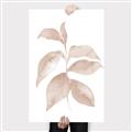 Picture of Neutral Watercolour Botanical II _GroupedProduct_Rectangle_Portrait_Canvas_