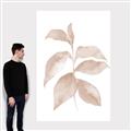 Picture of Neutral Watercolour Botanical II _GroupedProduct_Rectangle_Portrait_Canvas_