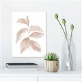 Picture of Neutral Watercolour Botanical II _GroupedProduct_Rectangle_Portrait_Unframed_Print_Only_