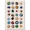 Picture of Water Colour Spots _GroupedProduct_Rectangle_Portrait_Canvas_