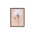 Picture of Single White Flower _GroupedProduct_Rectangle_Portrait_Canvas_Framed_