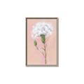 Picture of Single White Flower _GroupedProduct_Rectangle_Portrait_Canvas_Framed_