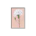 Picture of Single White Flower _GroupedProduct_Rectangle_Portrait_Canvas_Framed_