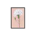 Picture of Single White Flower _GroupedProduct_Rectangle_Portrait_Canvas_Framed_