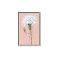 Picture of Single White Flower _GroupedProduct_Rectangle_Portrait_Canvas_Framed_