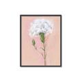 Picture of Single White Flower _GroupedProduct_Rectangle_Portrait_Canvas_Framed_