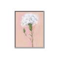 Picture of Single White Flower _GroupedProduct_Rectangle_Portrait_Canvas_Framed_