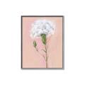Picture of Single White Flower _GroupedProduct_Rectangle_Portrait_Canvas_Framed_