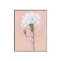 Picture of Single White Flower _GroupedProduct_Rectangle_Portrait_Canvas_Framed_