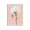 Picture of Single White Flower _GroupedProduct_Rectangle_Portrait_Canvas_Framed_