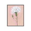 Picture of Single White Flower _GroupedProduct_Rectangle_Portrait_Canvas_Framed_