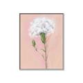 Picture of Single White Flower _GroupedProduct_Rectangle_Portrait_Canvas_Framed_