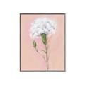 Picture of Single White Flower _GroupedProduct_Rectangle_Portrait_Canvas_Framed_