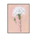 Picture of Single White Flower _GroupedProduct_Rectangle_Portrait_Canvas_Framed_