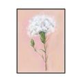 Picture of Single White Flower _GroupedProduct_Rectangle_Portrait_Canvas_Framed_