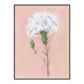 Picture of Single White Flower _GroupedProduct_Rectangle_Portrait_Canvas_Framed_