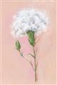 Picture of Single White Flower _GroupedProduct_Rectangle_Portrait_Unframed_Print_Only_