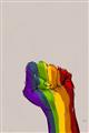 Picture of Rainbow Fist _GroupedProduct_Rectangle_Portrait_Unframed_Print_Only_