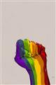 Picture of Rainbow Fist _GroupedProduct_Rectangle_Portrait_Unframed_Print_Only_