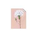 Picture of Single White Flower _GroupedProduct_Rectangle_Portrait_Unframed_Print_Only_