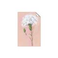 Picture of Single White Flower _GroupedProduct_Rectangle_Portrait_Unframed_Print_Only_