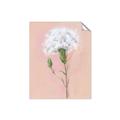 Picture of Single White Flower _GroupedProduct_Rectangle_Portrait_Unframed_Print_Only_