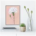 Picture of Single White Flower _GroupedProduct_Rectangle_Portrait_Canvas_Framed_