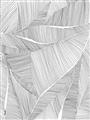 Picture of Leafy Lines II _GroupedProduct_Rectangle_Portrait_Unframed_Print_Only_