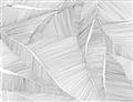 Picture of Leafy Lines III _GroupedProduct_Rectangle_Landscape_Unframed_Print_Only_