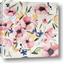 Picture of Wild Flowers