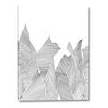 Picture of Leafy Lines I _GroupedProduct_Rectangle_Portrait_Canvas_