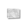 Picture of Leafy Lines III _GroupedProduct_Rectangle_Landscape_Canvas_