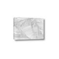 Picture of Leafy Lines III _GroupedProduct_Rectangle_Landscape_Canvas_