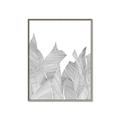 Picture of Leafy Lines I _GroupedProduct_Rectangle_Portrait_Canvas_Framed_