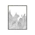 Picture of Leafy Lines I _GroupedProduct_Rectangle_Portrait_Canvas_Framed_