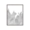 Picture of Leafy Lines I _GroupedProduct_Rectangle_Portrait_Canvas_Framed_