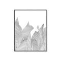 Picture of Leafy Lines I _GroupedProduct_Rectangle_Portrait_Canvas_Framed_